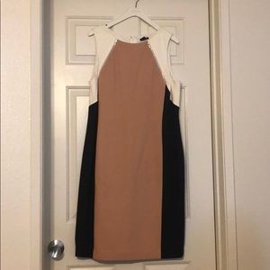 Ann Taylor Shift Dress